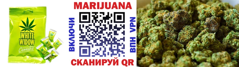 цена   Горняк  блэк спрут онион  Canna-Cookies конопля 