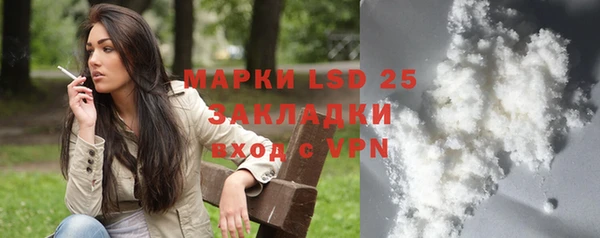 дживик Бородино