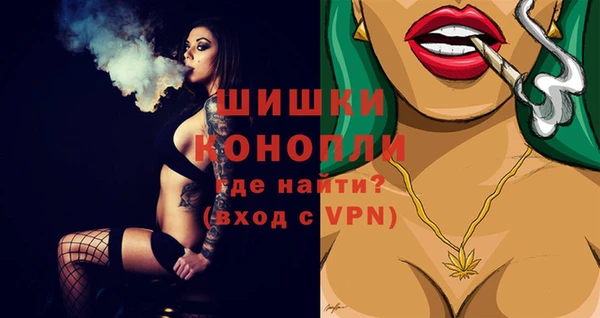крисы Бугульма