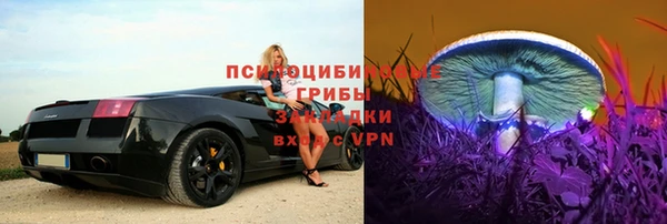 дживик Бородино