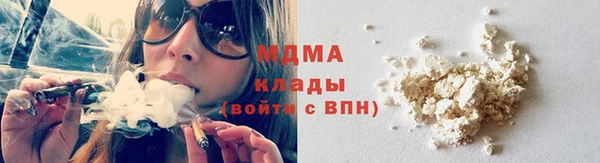 дживик Бородино