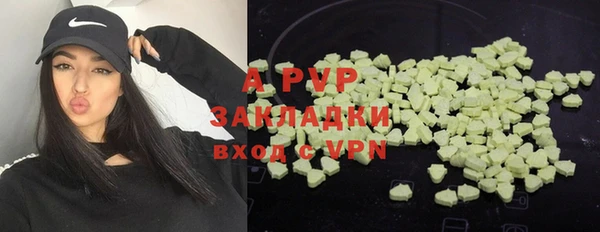 крисы Бугульма