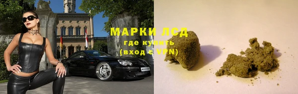 дживик Бородино
