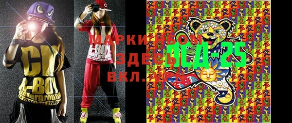 дживик Бородино