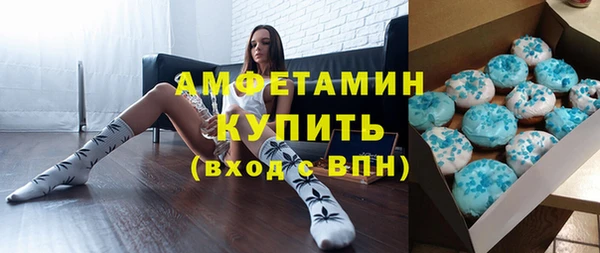 дживик Бородино