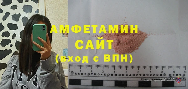дживик Бородино
