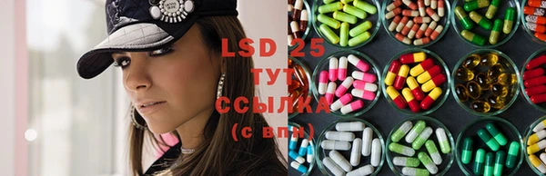 крисы Бугульма