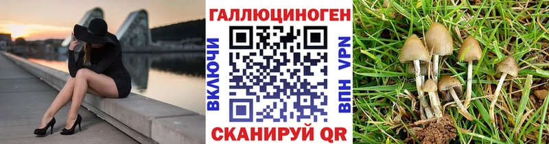 Псилоцибиновые грибы прущие грибы где купить наркоту Горняк